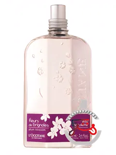 فلور دو برینیول (گل آلو) لُکسیتان آن پرووانس | fleurs de brignoles (plum blossom) l'occitane en provence